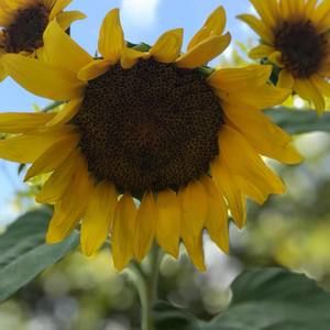 Meet your Posher, Paola